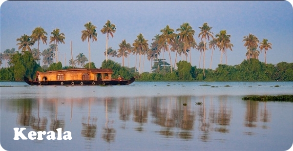 Beautiful morning in a houseboat on backwaters of kerala 