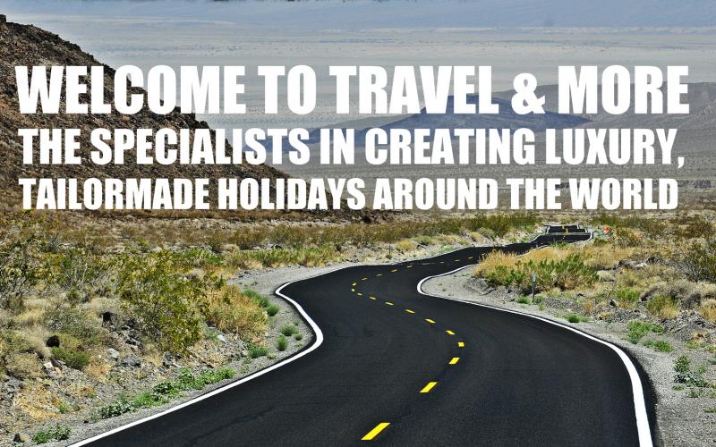 who travel and more is as a company and how it takes road less travelled 