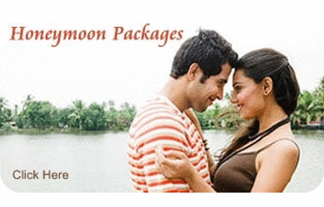 Travel packages