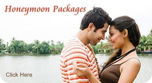 Honeymoon packages