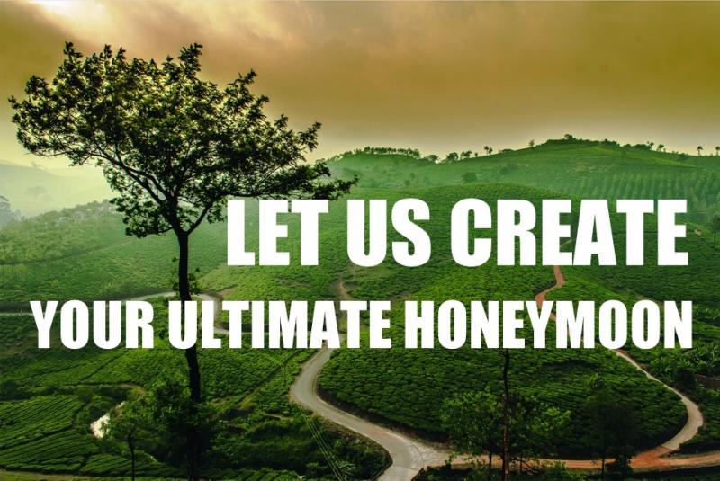 travel and more creates your ultimate Honeymoon in india and abroad